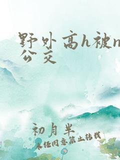 野外高h被np公交