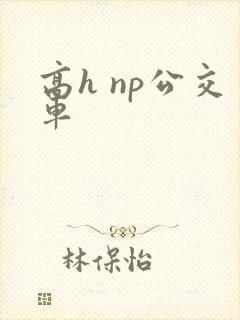 高h np公交车