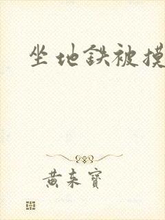 坐地铁被摸小说