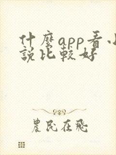 什么app看小说比较好