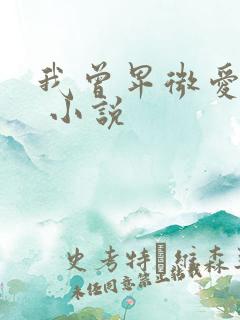 我曾卑微爱过你 小说