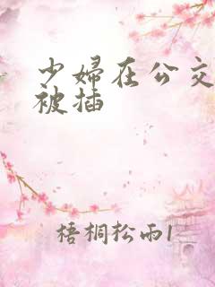 少妇在公交车上被插