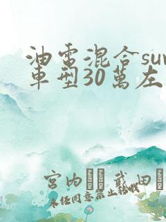 油电混合suv车型30万左右推荐