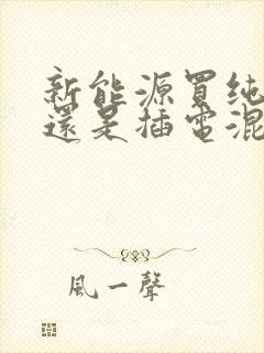 新能源买纯电动还是插电混动
