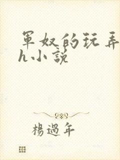 军奴的玩弄调教h小说