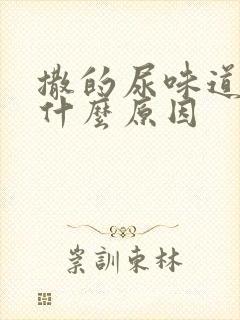 撒的尿味道重是什么原因