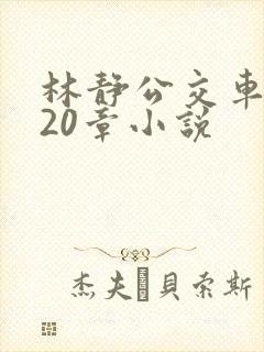 林静公交车1～20章小说