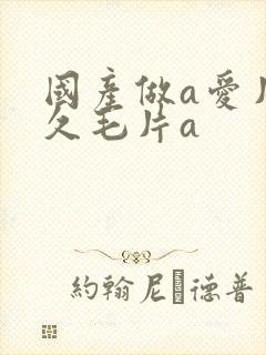 国产做a爱片久久毛片a