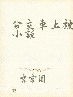 公交车上被淫奸小说
