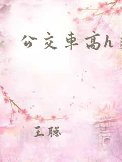 公交车高h爽文