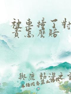 被车撞了对方次责怎么赔