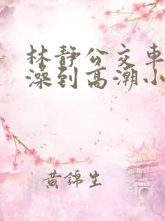 林静公交车轮流澡到高潮小说