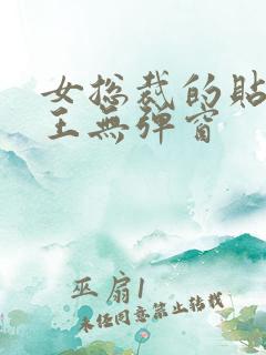 女总裁的贴身兵王无弹窗