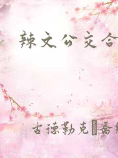 辣文公交合集