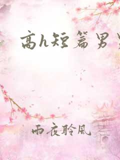 高h短篇男男