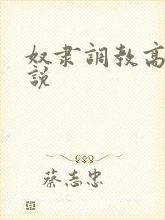 奴隶调教高h小说