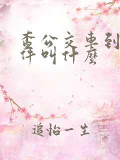 查公交车到站软件叫什么
