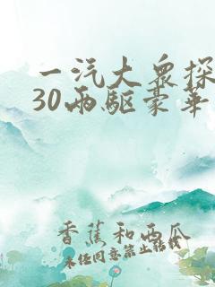 一汽大众探岳330两驱豪华版