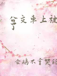 公交车上被摸湿了