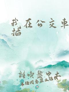 我在公交车上被插