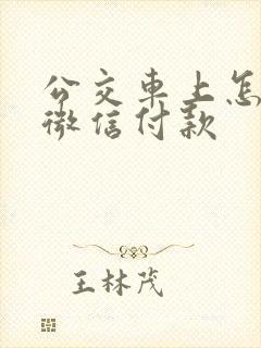 公交车上怎么用微信付款