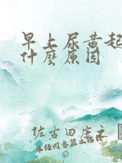 早上尿黄起泡是什么原因