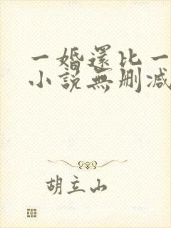 一婚还比一婚高小说无删减版