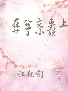 在公交车上被人艹了小说