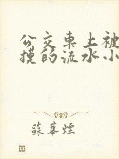 公交车上被公公摸的流水小说
