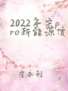 2022年宋pro新能源价格