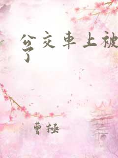 公交车上被插入了