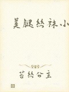 美腿丝袜小说