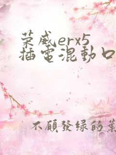 荣威erx5 插电混动口碑