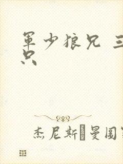 军少狼兄 三两只