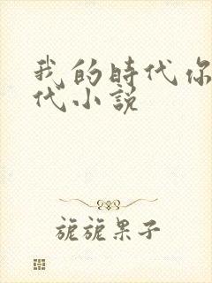 我的时代你的时代小说