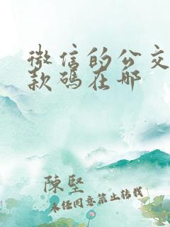 微信的公交车付款码在哪