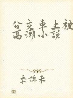 公交车上被插到高潮小说