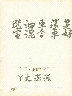 选油车还是选油电混合车好
