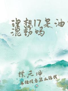 理想l7是油电混动吗