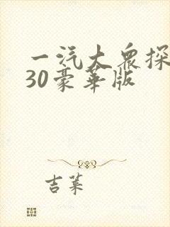 一汽大众探岳330豪华版