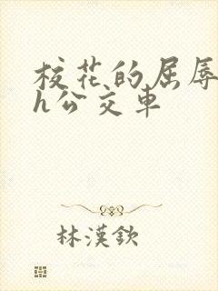 校花的屈辱调教h公交车