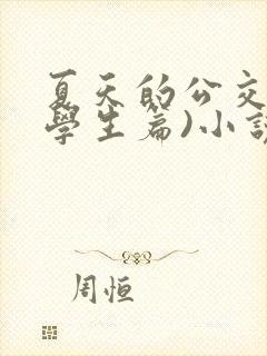 夏天的公交车(学生篇)小说