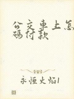 公交车上怎么扫码付款