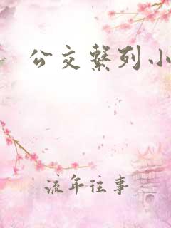 公交系列小说h
