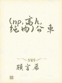 (np,高h,纯肉)公车