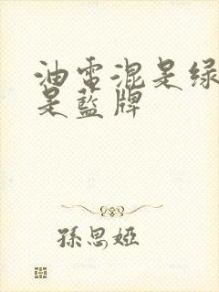 油电混是绿牌还是蓝牌