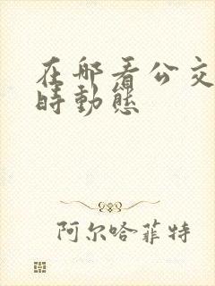 在哪看公交车实时动态