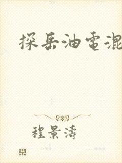 探岳油电混