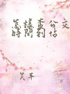 怎样查公交什么时间到站