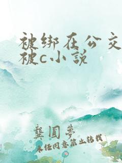 被绑在公交车里被c小说